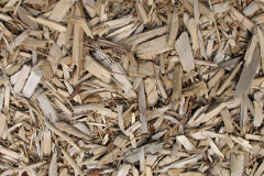 biomass boilers Orthwaite